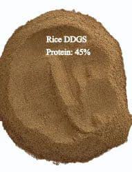 ข้าว ddgs สำหรับอาหารสัตว์เกรดส่งออก - Product Image 2