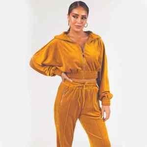 Top vente hiver à capuche solide velours coton survêtement deux pièces ensembles pour femmes léger décontracté survêtement Jogging costume - Product Image 1