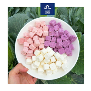 HOT SELLING Freeze Dried Yogourt from Viet Nam Gives You A Convenient Way To Enjoy <b>Yogurt</b> Without Refrigeration - Product Image 1