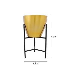 Cadre en acier découpé au laser de nouvelle conception avec pot doré mat et support noir mat manteau de poudre fait main fini pour une utilisation en intérieur uniquement - Product Image 3