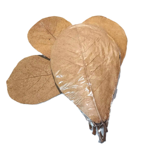 Haute qualité 30 feuilles en plastique d'aquarium d'amande indienne naturelle Catappa 21-25 cm pour l'utilisation des animaux de compagnie - Product Image 2