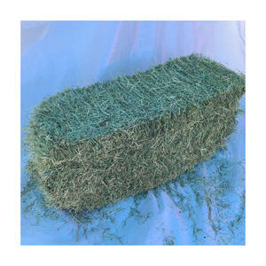 Heno de alfalfa de alta calidad para alimentación animal, heno de alfalfa/alfalfa a la venta a precio mayorista - Product Image 5