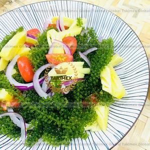 สาหร่ายทะเลแห้งพิเศษจากเวียดนาม คุณภาพส่งออก ราคาดีที่สุด - Product Image 1