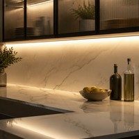 Bande lumineuse LED COB à CRI élevé Ra95+, sans points lumineux, 528 LED/m, DC24V, éclairage linéaire flexible pour musée et vitrine de luxe, IP20
