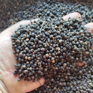 Pimienta negra de alta calidad de Vietnam, precio competitivo de Phalco JSC - Product Image 2