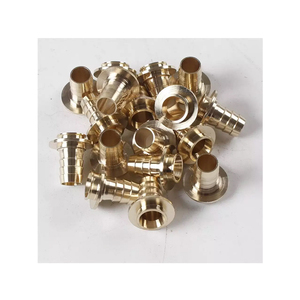 Brass Material Fittings for SS Braided Hose