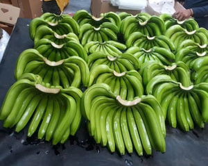 Platos mágicos hechos de polvo, hechos tradicional de bananas verdes, son nutritivos - Product Image 5