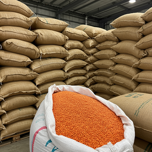 Lentejas Rojas divididas para la fabricación de alimentos Suministro a granel 25kg Lentejas rojas de alta calidad Masoor Dal - Product Image 4