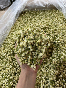 Fleur séchée de jasmin écologique: Fleur naturelle pour le thé, multi-usage, durable, tendance pour l'utilisateur soucieux de l'environnement - Product Image 6