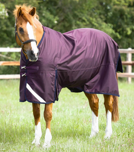 Manta para Caballo 2026 Impermeable Transpirable Diseño Personalizado Premium Manta Ecuestre Resistente Manta Personalizada para Caballo - Product Image 4