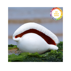 เปลือกหอยวัวสีขาววัสดุจากมหาสมุทรธรรมชาติใช้กันอย่างแพร่หลายสำหรับฝังเฟอร์นิเจอร์ตกแต่งภายในและงานฝีมือเวียดนาม - Product Image 3