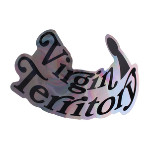 Pegatinas de Vinilo con Holograma Personalizado, 100 Unidades, Resistentes a los Rayos UV, Envío Gratuito, para Cascos, Motocicletas, Bicicletas, Automóviles, Promociones al Aire Libre - Product Image 5