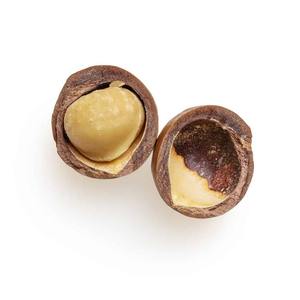 Noix de macadamia séchées de haute qualité Saveur laiteuse douce Squeeze à la main Délicieux Snack Fruits secs Approvisionnement en gros - Product Image 2