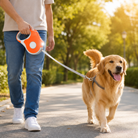Ensemble de harnais pour chien en nylon réglable avec éclairage LED, vente en gros, faible MOQ pour chiens de petite/moyenne/grande taille