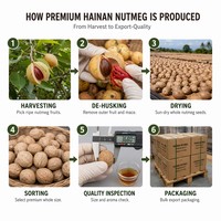 Noix de muscade entière de qualité supérieure d'origine Hainan, certifiée ISO, épice pour la pâtisserie, le braisage, la fabrication alimentaire et l'assaisonnement
