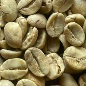 Granos de Café Verde Arábica de Vietnam DHPONE, Talla 16, Natural Puro, para Tostado a Granel, Calidad Estable, Grado 98% de Maduración - Product Image 5