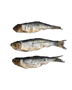 Arenque Seco Estándar de Exportación, MOQ Flexible - Product Image 1