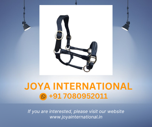 Allegra Leather <b>Halter</b> Horse <b>Halter</b> Smart - Product Image 2