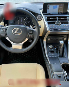 Modèle 2017 d'occasion en bon état, 200 2WD Pioneer Edition, faible kilométrage, aucun problème mécanique, prêt à rouler - Product Image 2