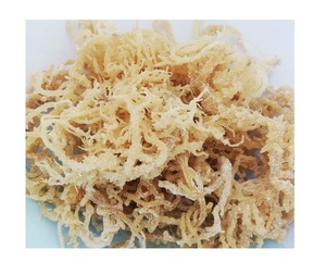 Algues Eucheuma Cottonii de qualité supérieure du Vietnam-Algues Eucheuma Cottonii séchées de haute qualité Wildcraft Purple Seaweed - Product Image 5