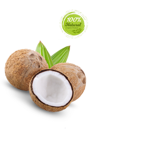 Productos agrícolas empaquetados con energía Coco seco un tratamiento graso saludable - Product Image 5
