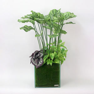 Grandes plantes artificielles d'intérieur et d'extérieur de luxe Mini arbre décoratif vert Jardin Collection de verdure en gros - Product Image 1