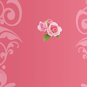 Caja de embalaje Embalaje de regalo de papel rígido a granel Caja de pastel con logotipo personalizado de chocolate Caja dulce de galletas de panadería dulce de lujo - Product Image 6