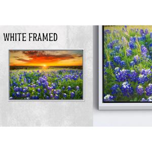 Décoration murale élégante en toile imprimée avec paysage champêtre Bluebonnet, 1P Whiteframedcanvas - Product Image 1