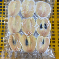 Harga terbaik Buah Sapodilla Beku IQF dari Vietnam, Manis Alami, Potongan Dadu/Irisan Saboche untuk Ekspor/ Ms. Kana