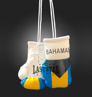 Venta al por mayor OEM personalizado Mini guantes de boxeo con diseño de Bandera de País PU cuero coche colgante llavero compras Bosnia Grecia Chile
