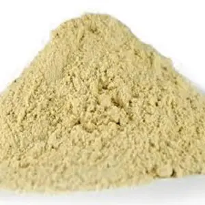 Farina di glutine di riso polvere di concentrato di proteine di crusca di riso idrolizzata strutturata organica