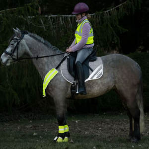Tapis de selle de cheval en tissu matelassé de haute qualité, dernier Style, prix de gros - Product Image 6