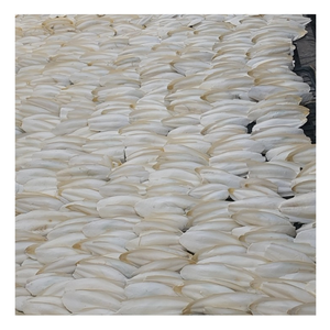 El hueso de sepia es más que una concha: desbloquea el verdadero potencial del hueso de sepia en el cuidado natural de mascotas y la vida ecológica - Product Image 3