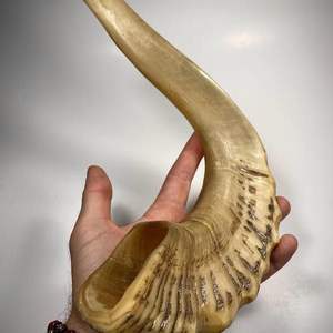 Shofar authentique en corne de buffle, fabriqué avec soin pour les rassemblements spirituels, les festivals, l'utilisation au temple, la décoration de cuisine - Product Image 6