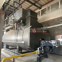 Caldera de Vapor a Gas Natural de 8 Tph, Precio de Fábrica, China, para Materiales de Construcción