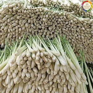 Hierba Limón Fresca de Vietnam, Material de Cosecha Limpia, Apta para Mezclas Alimentarias e Ingredientes Culinarios Diarios - Product Image 5