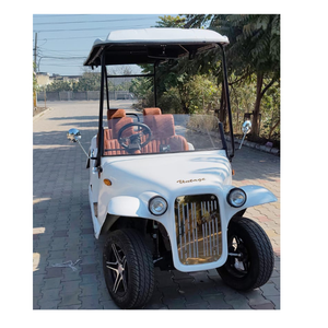 Voiturette de golf vintage RetroWay 6 places - Product Image 1