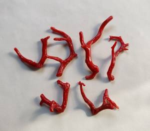 Palo de coral rojo italiano natural genuino, palo pulido de coral rojo italiano natural 100%. Palo de Coral Brillante Pulido, Palo de Coral - Product Image 5