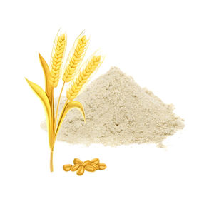 Farine de blé Gluten 85% de blé Vital de qualité alimentaire Gluten de blé 25KG Farine de blé du Brésil à vendre en vrac - Product Image 3