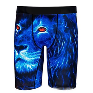 Ropa interior personalizada cómoda tallas grandes hombres Calzoncillos Bóxer pantalones cortos Logo 100% algodón o poliéster ropa interior caliente - Product Image 2