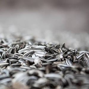 เมล็ดทานตะวันดิบและอาหารเม็ดสีดำสำหรับบริโภคของมนุษย์ม้าวัวหมูบรรจุในถุง - Product Image 2