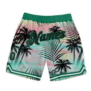 Custom Logo Eco-Friendly Quick Dry Vintage Drawstring Closure Men Heavyweight Sublimation Summer Gym Trunks Breathable <b>Shorts</b> - Product Image 1
