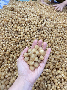 BEST SELLER Longane séché Utilisé pour la cuisine de desserts, la pâtisserie et la transformation alimentaire Pour l'usine du Vietnam - Product Image 2