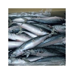 SARDINAS CONGELADAS AL POR MAYOR PARA EXPORTACIÓN A TODO EL MUNDO - Product Image 3