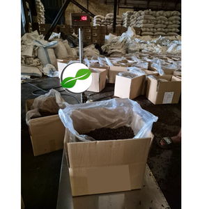 Clous de girofle séchés aromatiques de Sulawesi de qualité supérieure sélectionnés à la main, Indonésie, sacs PP de 25 kg, qualité AB, processus de séchage AD, Global Agro Komoditi, 2 ans - Product Image 2