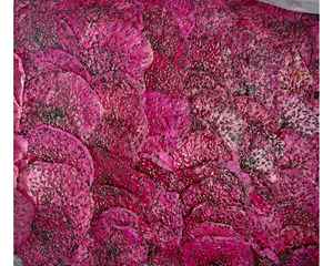 แก้วมังกรอบแห้งสีแดงสีสันสดใสพร้อมผลไม้มังกรอบแห้งรสหวานเป็นธรรมชาติ - Product Image 4