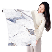 Papier peint moderne de luxe pour décoration intérieure Isolation thermique imperméable pour revêtement mural dans la chambre et la salle de bain
