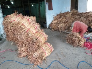 Strong dried <b>water</b> <b>hyacinth</b> durable consistent strands perfect for woven goods factories and export trade - Product Image 2