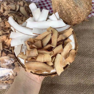 มะพร้าวกรอบอบแห้งออร์แกนิกจากเวียดนามขนมเขตร้อนเพื่อสุขภาพสำหรับสมูทตี้และเชค - Product Image 1