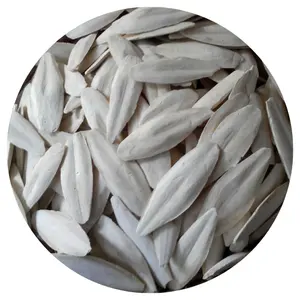 Großhandel getrocknete Tintenfisch-Knochen Fischknochen für Haustiere 100 % natürliche Tintenfisch-Knochen für Papageien / Ms Lily +84 906927736